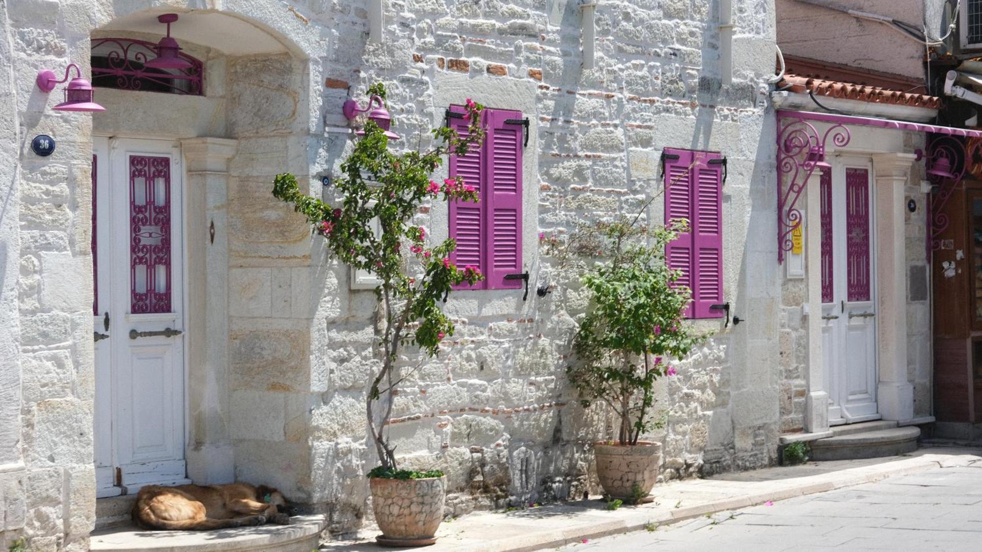 Mi Amor Phokaia Foça Esterno foto